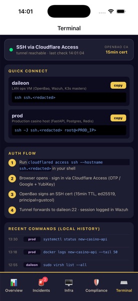 Aba de terminal — detalhes da conexão SSH via Cloudflare Access e comandos recentes